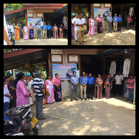 කිරි ගවයන් සදහා අභයදානය දීම
