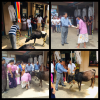 කිරි ගවයන් සදහා අභයදානය දීම